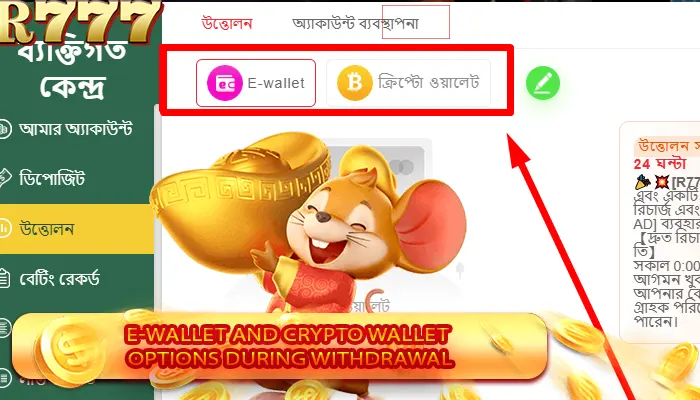 E-wallet and crypto wallet options during withdrawal 